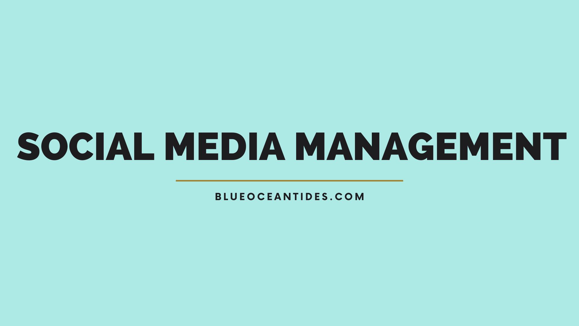 earn money through social media management